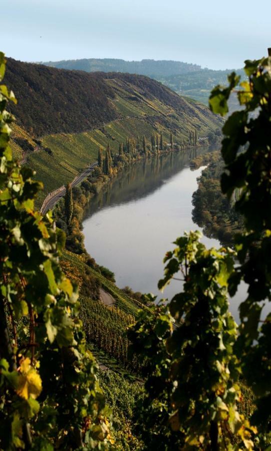 Weingut Berweiler Klusserath Exterior foto